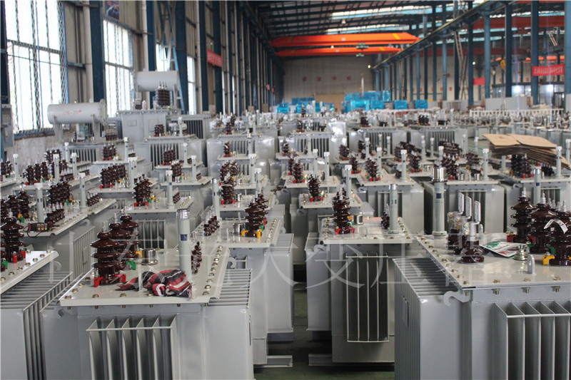 如东S22-800KVA/10KV